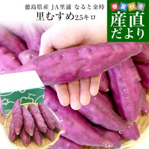 徳島県産 JA里浦 なると金時「里むすめ」 Lサ...の商品画像