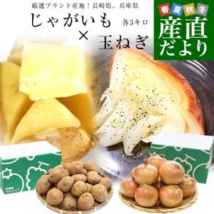 厳選ブランド産地！じゃがいも×玉ねぎ2箱セット（長崎県産