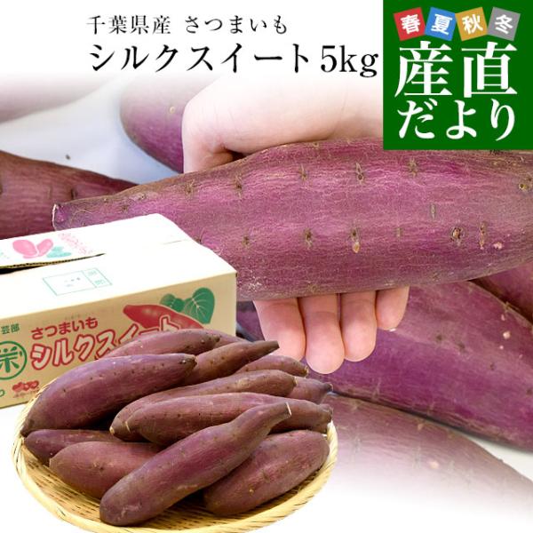 千葉県産 JAかとりシルクスイート　Lサイズ5キロ　13本前後　送料無料　さつまいも　サツマイモ　薩...