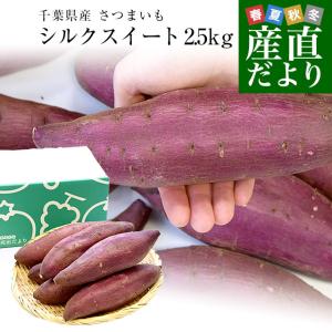 ■シルクスイート■千葉県産■秀Mサイズ■約10キロ(5キロ入×2ケース)■ 千葉県産 JAかとり シルクスイート 2LからL 約5キロ（形不揃い