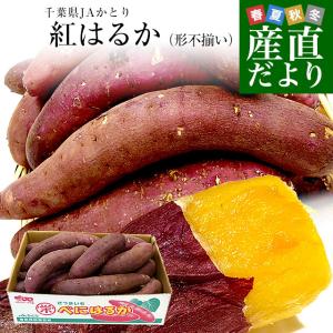 千葉県産 JAかとり 紅はるか BLサイズ 約5キロ 10本から13本前後（形不揃い） 送料無料 さつまいも サツマイモ 薩摩芋 新芋 市場発送｜sanchokudayori