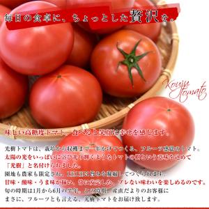 佐賀県産 高糖度 かわそえ光樹トマト 約1キロ...の詳細画像4