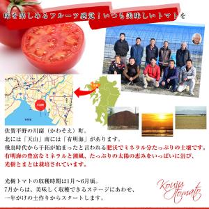 佐賀県産 高糖度 かわそえ光樹トマト 約1キロ...の詳細画像5