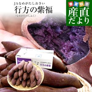 茨城県 JAなめがたしおさい 行方の紫福（なめがたのしふく）品種名：ふくむらさき Mサイズ 約5キロ...