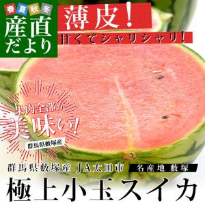 群馬県藪塚産 小玉スイカ 4キロ前後 （2キロ×2玉）送料無料 市場発送 西瓜 すいか｜sanchokudayori