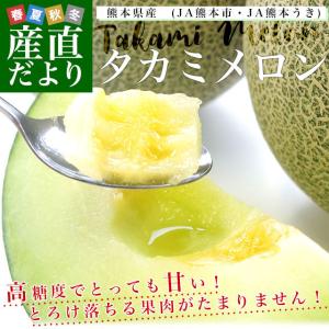 熊本県産 JA熊本市またはJA熊本うき タカミメロン 約5キロ