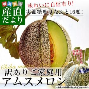 千葉県産 JAちばみどり アムスメロン 訳あり 5キロ （4玉から6玉）