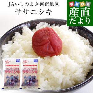 令和5年産　宮城県産　JAいしのまき　河南地区 ＜新米＞ ササニシキ　10キロ（5キロ×2袋）　送料無料　お米　宮城県米｜sanchokudayori