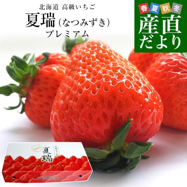 北海道より産地直送 高級いちご 夏瑞（なつみずき）プレミアム　約200g（5粒）×2パック　化粧箱入...