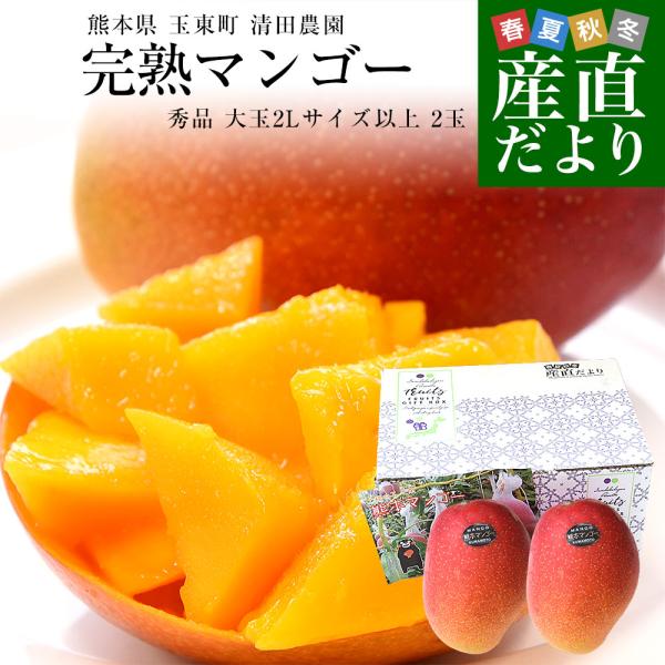 熊本県から産地直送 完熟マンゴー 玉東町 清田農園  秀品 大玉2Lサイズ 2玉（合計900g前後）...