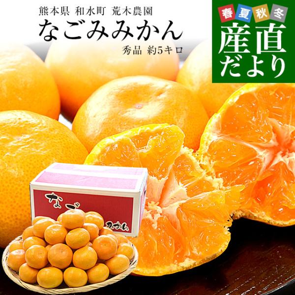 熊本県から産地直送 和水町 荒木農園 なごみみかん 秀品 MからSサイズ 約5キロ（50玉から60玉...
