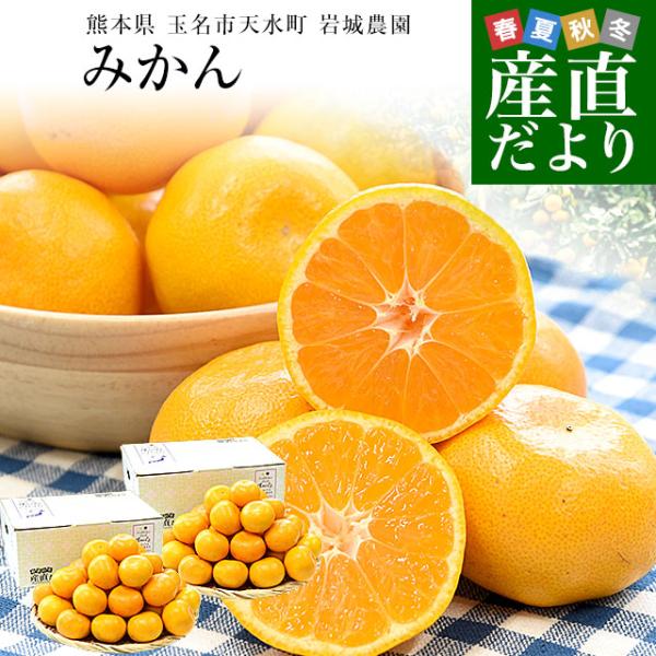 熊本県から産地直送 玉名市天水町 岩城農園 みかん LからSサイズ 約3キロ×2箱（合計48玉から7...