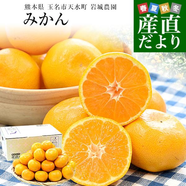 熊本県から産地直送 玉名市天水町 岩城農園 みかん LからSサイズ 約3キロ（24玉から36玉前後）...