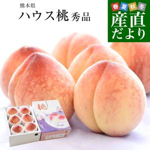熊本県から産地直送 ハウス桃 秀品 約1キロ (4玉から6玉) 4Lから2Lサイズ 送料無料 もも ピーチ クール便 from九州