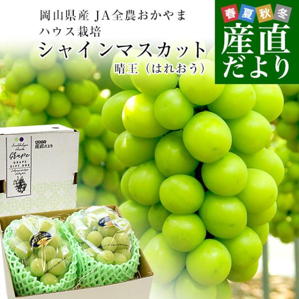【お中元・夏ギフト】岡山産 JA全農おかやま 高級ハウス栽培 シャインマスカット 晴王 青秀品 約1...