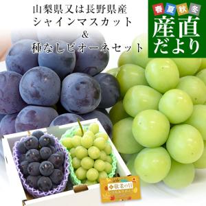 【遅れてごめんね 敬老の日】山梨県又は長野県産 シャインマスカット(約500g)＆種なしピオーネ(約450g) 秀品 各1房入り 合計950g以上 送料無料 ブドウ ぶどう