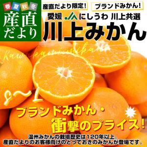愛媛 JAにしうわ「川上みかん」SからL 約3キロ（23玉から36玉前後）送料無料　みかん ミカン 蜜柑 市場発送