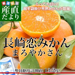 JA全農　ながさき　越冬袋掛け　長崎恋みかん　まろやかさん　約2.5キロ　小〜中サイズ（30玉〜35玉前後）送料無料 ミカン 早生みかん 袋掛けみかん