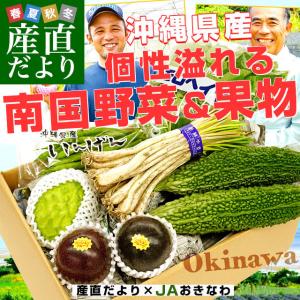 おきなわ果物 島野菜丸ごとセットボックス（パッションフルーツ2個・アテモヤ・ゴーヤ2本・さやいんげん・島らっきょ・モロヘイヤ）送料無料 市場発送