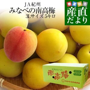 和歌山県産　JA紀州　みなべの南高梅 　3Lサイズ5キロ