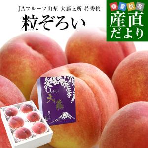 山梨県 JAフルーツ山梨 大藤支所 大藤の特秀桃「粒ぞろい」 約1.8キロ (5玉から6玉) 送料無料 桃 もも 市場発送
