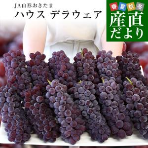 山形県 JA山形おきたま ハウス栽培 デラウェア（種なし） 秀品 2Lサイズ 約2キロ（12房入り） 送料無料 ぶどう 葡萄 クール便爆買
