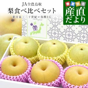 鳥取県産 JA全農鳥取 梨食べ比べセット 約1....の商品画像