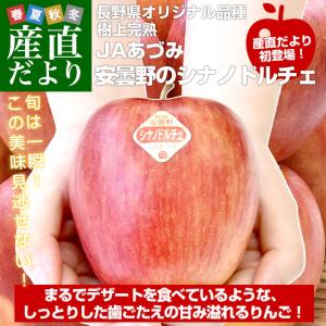 長野県産 JAあづみ 安曇野 シナノドルチェ 約3キロ （10玉から12玉）林檎 りんご 送料無料 市場発送