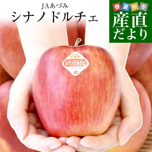 長野県産 JAあづみ 安曇野 シナノドルチェ 約3キロ （8玉から12玉）林檎 りんご 送料無料 市...