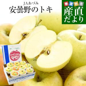 長野県産 JAあづみ 安曇野 ご家庭向け トキ 約3キロ （8玉から12玉） 送料無料 りんご 林檎 市場発送