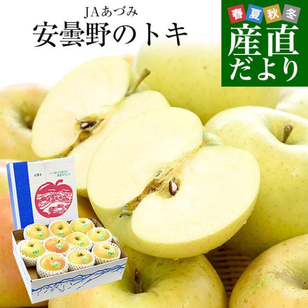 長野県産 JAあづみ 安曇野 ご家庭向け トキ 約3キロ （8玉から12玉） 送料無料 りんご 林檎...