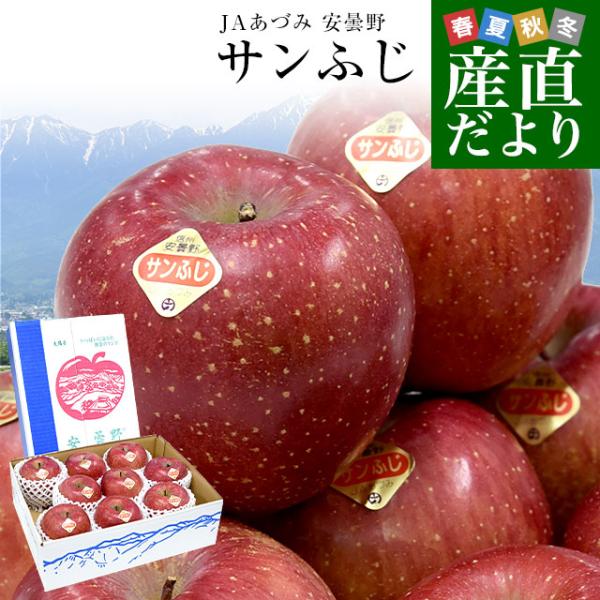 長野県産 JAあづみ 安曇野 サンふじ 約3キロ （8玉から10玉） 送料無料 りんご 林檎 市場発...