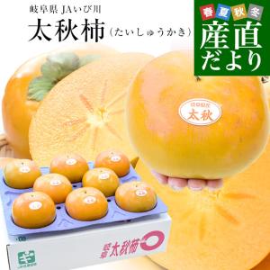 岐阜県 JAいび川 太秋柿(たいしゅうかき) A品3.5キロ前後(8玉から10玉入り) 送料無料 大玉柿 柿 かき 市場発送