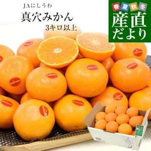 【お歳暮 ギフト】愛媛県 JAにしうわ 真穴みかん 3キロ以上2Lサイズ（21玉) 送料無料 ミカン 蜜柑 愛媛みかん 市場発送｜産直だより