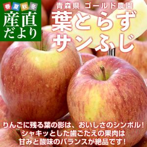 青森県産 ゴールド農園 葉とらずサンふじりんご 特秀品 約3キロ (8玉から10玉入) 送料無料 林檎 リンゴ サンふじ 津軽 弘前 市場発送｜sanchokudayori