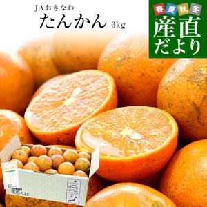 沖縄県産 JAおきなわ たんかん 約3キロ MからSサイズ(25玉から30玉前後) 送料無料 柑橘 オレンジ タンカン 市場発送｜sanchokudayori