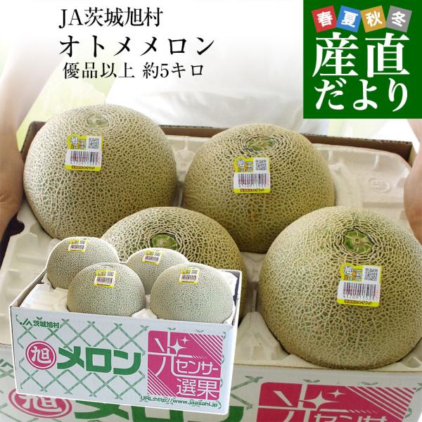 茨城県産 JA茨城旭村 オトメメロン 優品以上4Lから3Lサイズ 約5キロ (3玉から4玉) 送料無...