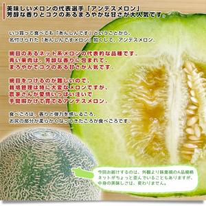 茨城県産 JA茨城旭村 アンデスメロン A品 ...の詳細画像3
