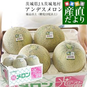 熊本県から産地直送 大玉アールスメロン 約8キロ原体箱（4玉入）送料