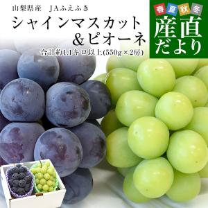 山梨県産 シャインマスカット＆ピオーネ 合計約1.1キロ以上(550g×2房) 送料無料 クール便 ぶどうセット ギフト