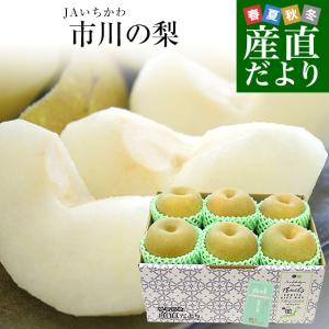 千葉県産 JAいちかわ 市川の梨 （柏井または市川中央支部）優品以上 大玉 約2キロ(5玉から6玉) 送料無料 梨 なし ナシ 幸水 豊水 あきづき爆買