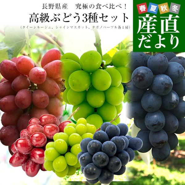 長野県産 究極の食べ比べ！ 高級ぶどう3種セット約1.5kg （クイーンルージュ、シャインマスカット...