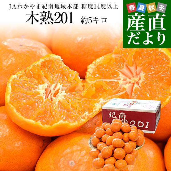 和歌山県 JAわかやま紀南地域本部 高糖度みかん「木熟201」赤無印以上 糖度14度以上 LからSサ...