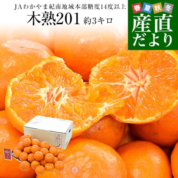 和歌山県 JAわかやま紀南地域本部 高糖度みかん「木熟201」赤無印以上 糖度14度以上 LからSサ...