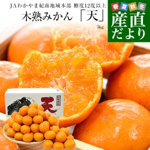 お歳暮 ギフト】愛媛県 JAにしうわ 真穴みかん 3キロ以上2Lサイズ（21