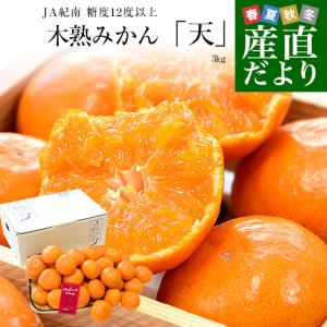 和歌山県 JA紀南 糖度12度以上 木熟みかん「天」約3キロ MからSサイズ(30玉から36玉前後) 送料無料 蜜柑 ミカン 柑橘