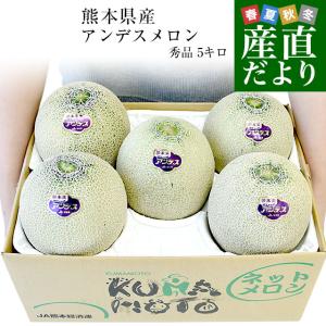 熊本県産 JA熊本うき又はJA熊本市 アンデスメロン 3Lから2Lサイズ 秀品 5キロ箱 (4玉から5玉) 送料無料 メロン 青肉｜sanchokudayori