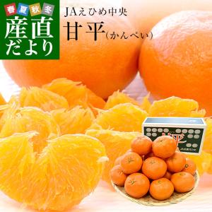 愛媛県産 JAえひめ中央 甘平 青秀品 4LからLサイズ 約5キロ(15玉から28玉前後) 送料無料 柑橘 オレンジ カンペイ｜sanchokudayori