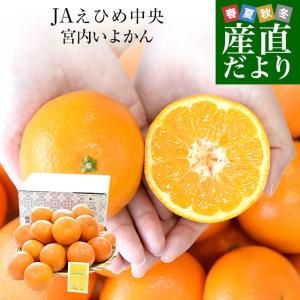 愛媛県産 JAえひめ中央 宮内いよかん 秀品 小...の商品画像