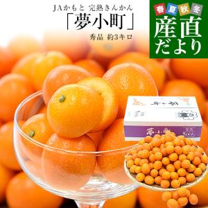 宮崎県から産地直送 JAみやざき宮崎中央地区本部 たまたま 2Lサイズ 3